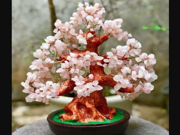 Cây Tài Lộc – Tượng Trưng Cho Sự Sung Túc, Thịnh Vượng