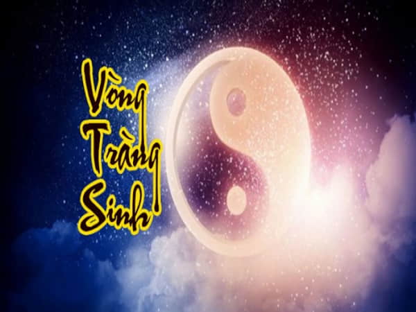 Tìm hiểu về vòng tràng sinh