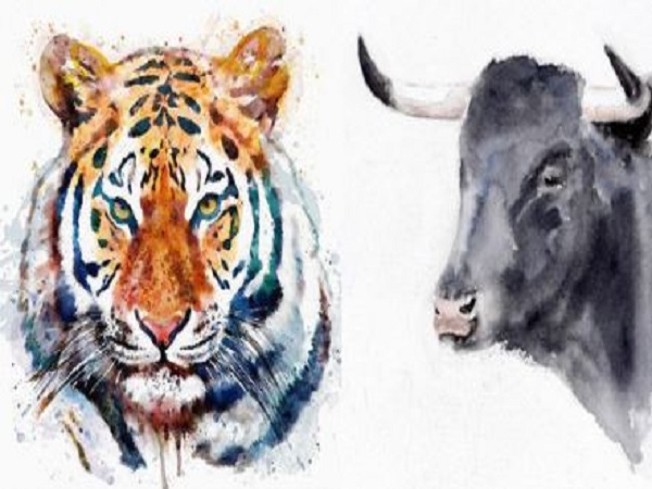 Tổng quan về tuổi Dần và tuổi Sửu