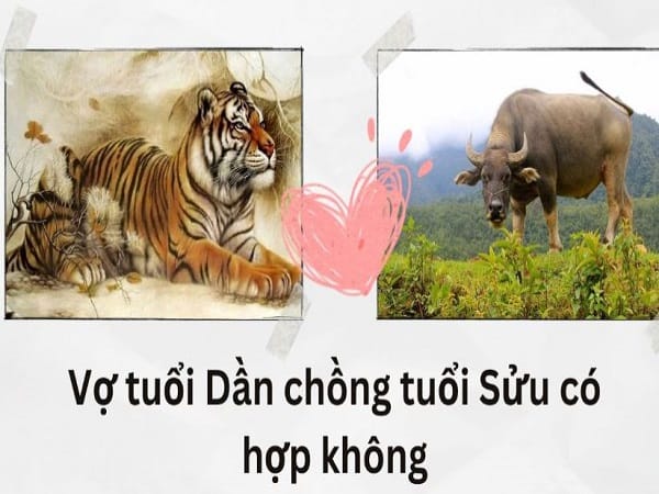 Luận vợ tuổi Dần chồng tuổi Sửu có hợp không?