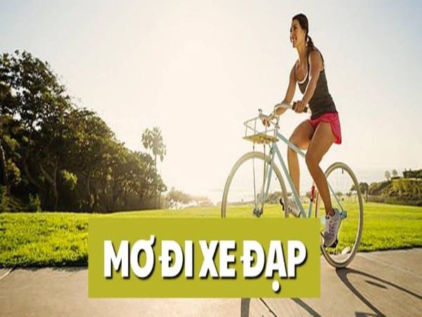 Đi xe đạp – Biểu tượng của sự cân bằng và tiến bước
