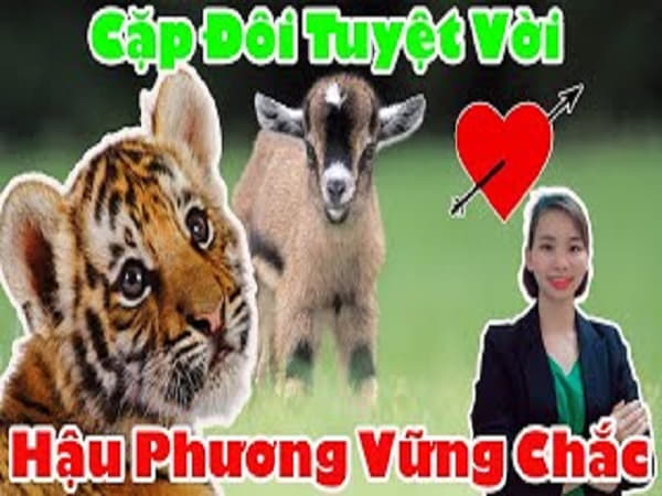 Vậy tuổi Dần lấy tuổi Mùi có hợp không?