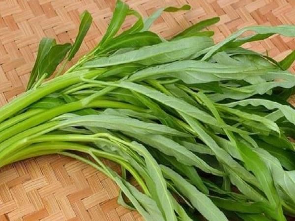 Rau muống trong văn hóa và đời sống Việt Nam