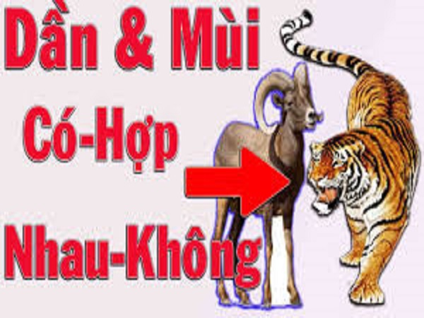 Tổng quan về tuổi Dần và tuổi Mùi
