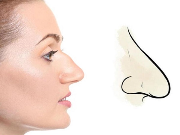 Mũi diều hâu là 1 tướng mũi không giữ được tiền – tham vọng nhưng khó giữ của