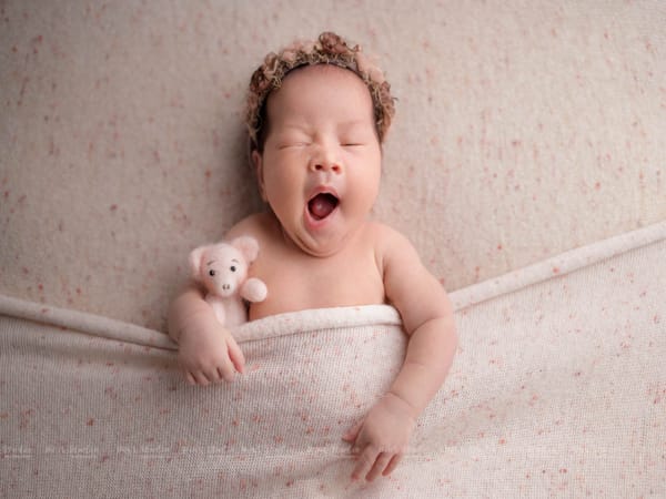 Ý nghĩa tên Xuân Bách dưới góc nhìn Phong Thủy