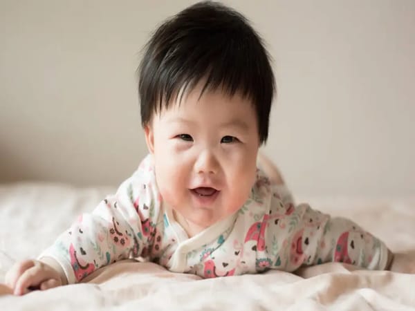 Phân tích ý nghĩa tên Yến Chi