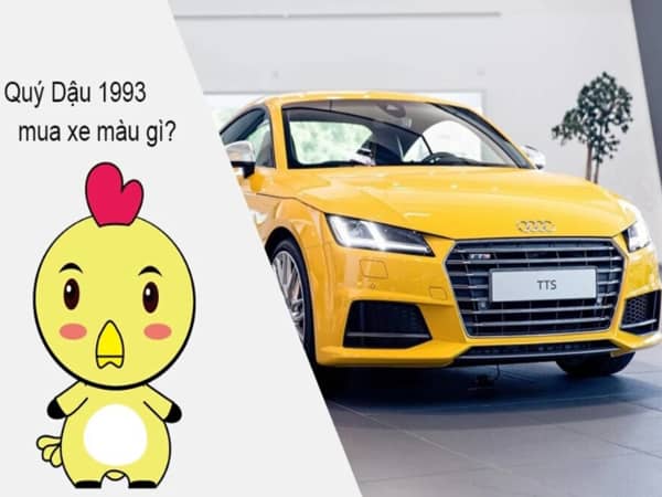 Nữ 1993 hợp xe màu gì?