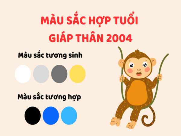 2004 hợp màu gì theo phong thủy