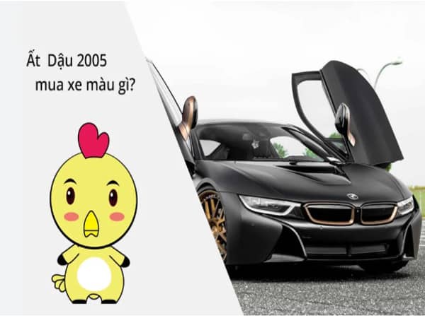 Nam sinh năm 2005 hợp màu gì khi mua xe?