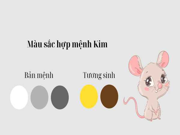 Ứng dụng màu hợp tuổi 1984 trong cuộc sống