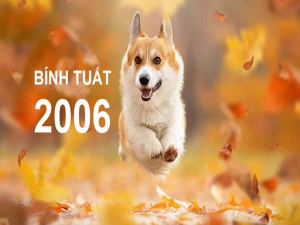 Tổng quan về tuổi 2006 – Bính Tuất