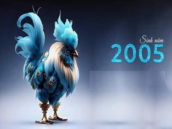 Thông tin tổng quan về tuổi 2005
