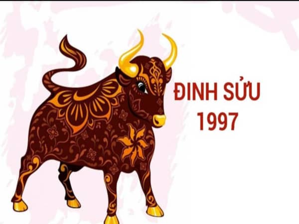 Tổng quan tuổi Đinh Sửu 1997 theo phong thủy