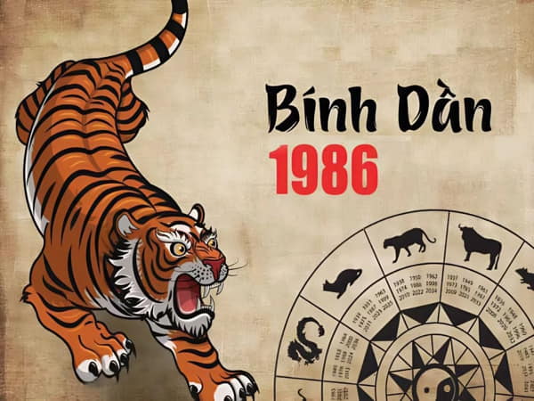 Tổng quan người sinh năm 1986 Bính Dần