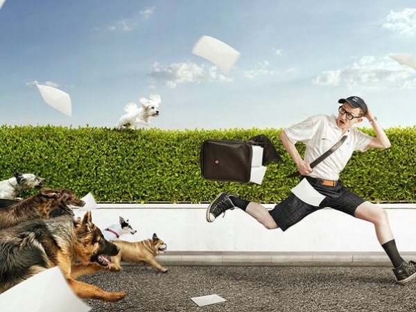 Nằm mơ thấy chó đuổi là điềm gì có số gì may mắn