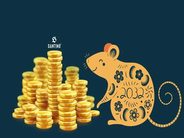 Con số may mắn ngày 11 tháng 3 năm 2026 tuổi Tý